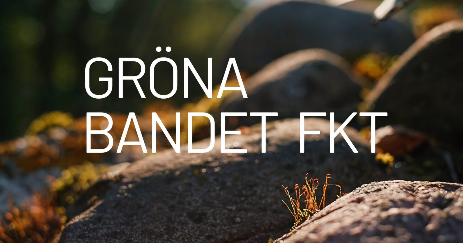 Gröna Bandet FKT Projekt 2025 Nutriscouts FitLine Independent Distributor Gröna Bandet FKT Projekt 2025